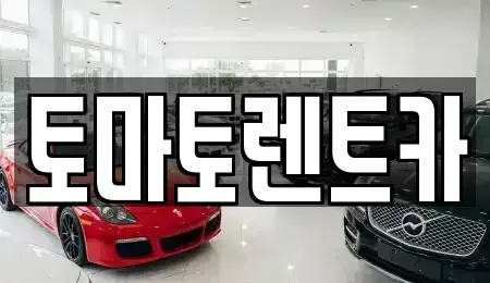경기 여주시 산북면 렌트카 전문 토마토렌트카