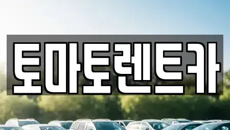 경기 연천군 연천읍 렌트카 전문 토마토렌트카