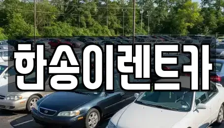 경기 연천군 연천읍 렌트카 전문 한송이렌트카
