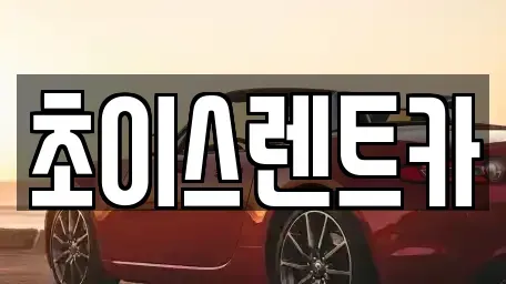 경기 오산시 외삼미동 렌트카 전문 초이스렌트카
