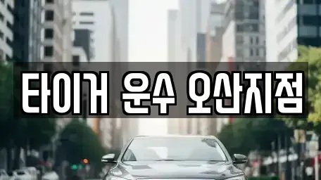 경기 오산시 외삼미동 렌트카 전문 타이거 운수 오산지점