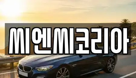 경기 오산시 청학동 장기렌트카 전문 씨엔씨코리아