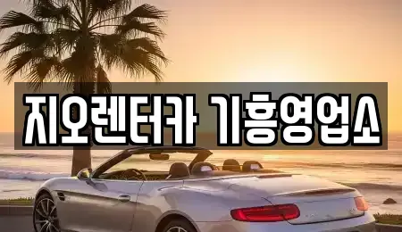 경기 용인시 수지구 단기렌트카 전문 지오렌터카 기흥영업소