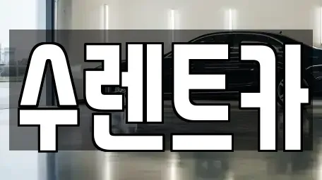 경기 용인시 수지구 렌트카 전문 수렌트카