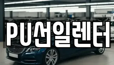 경기 용인시 수지구 장기렌트카 전문 PU선일렌터