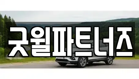 경기 용인시 수지구 장기렌트카 전문 굿윌파트너즈
