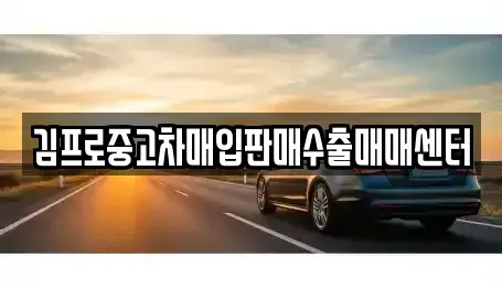 경기 용인시 수지구 중고차 전문 김프로중고차매입판매수출매매센터