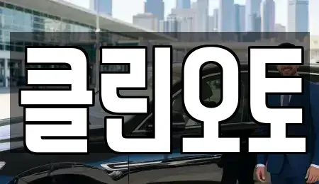 경기 용인시 수지구 중고차 전문 클린오토
