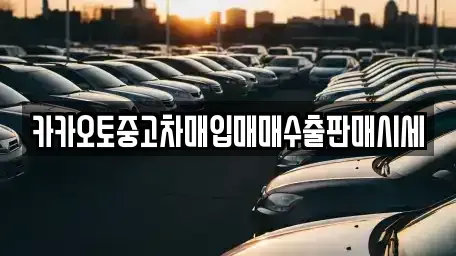 경기 용인시 수지구 중고차매입 전문 카카오토중고차매입매매수출판매시세
