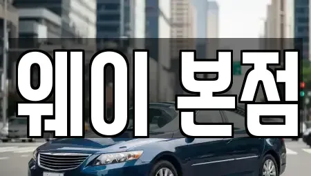 경기 의왕시 고천동 단기렌트카 전문 웨이 본점