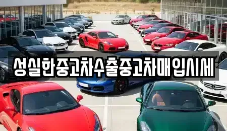 경기 의왕시 고천동 중고차매매 전문 성실한중고차수출중고차매입시세