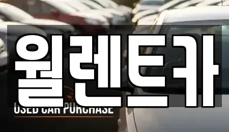 경기 의정부시 자일동 렌트카 전문 월렌트카