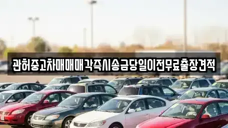 경기 의정부시 자일동 중고차매매 전문 관허중고차매매매각즉시송금당일이전무료출장견적