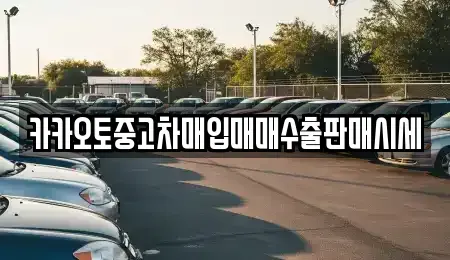 경기 의정부시 자일동 중고차매입 전문 카카오토중고차매입매매수출판매시세