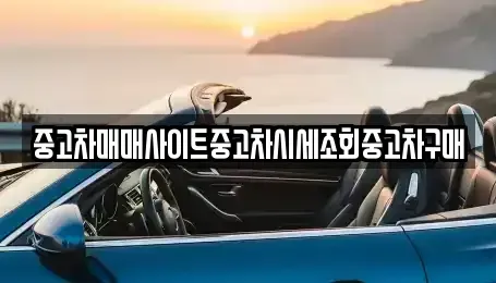 경기 파주시 장단면 렌트카,단기렌트카,장기렌트카,중고차,중고차매매,중고차매입