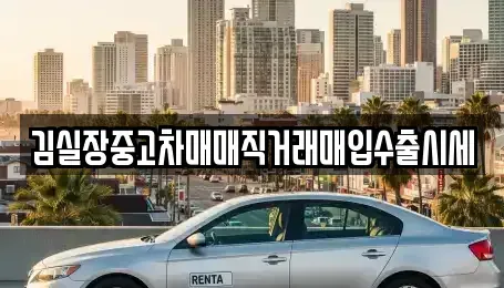경기 파주시 장단면 중고차매입 전문 김실장중고차매매직거래매입수출시세