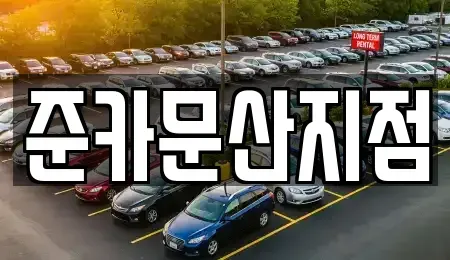 경기 파주시 파주읍 렌트카 전문 준카문산지점