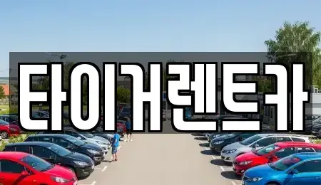 경기 파주시 파주읍 렌트카 전문 타이거렌트카