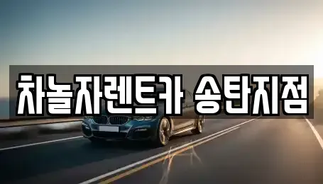 경기 평택시 고덕면 단기렌트카 전문 차놀자렌트카 송탄지점