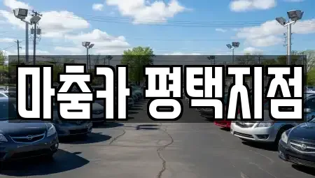 경기 평택시 고덕면 렌트카 전문 마춤카 평택지점