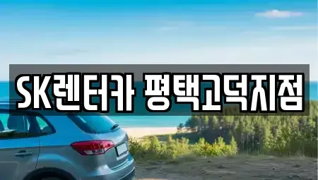 경기 평택시 고덕면 장기렌트카 전문 SK렌터카 평택고덕지점