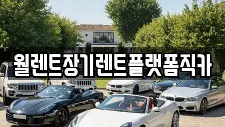 경기 평택시 고덕면 장기렌트카 전문 월렌트장기렌트플랫폼직카