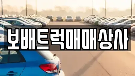경기 평택시 고덕면 중고차 전문 보배트럭매매상사