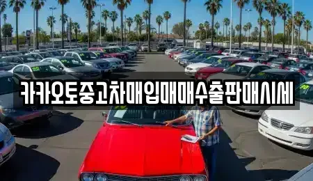 경기 평택시 고덕면 중고차 전문 카카오토중고차매입매매수출판매시세