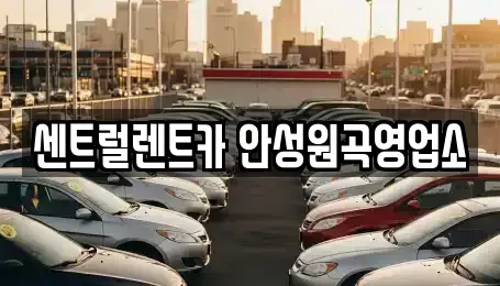 경기 평택시 청룡동 렌트카 전문 센트럴렌트카 안성원곡영업소