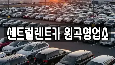 경기 평택시 청룡동 렌트카 전문 센트럴렌트카 원곡영업소