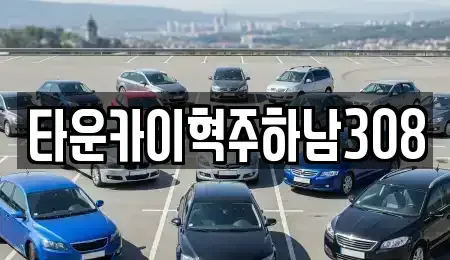 경기 하남시 덕풍동 단기렌트카 전문 타운카이혁주하남308