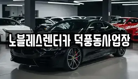 경기 하남시 덕풍동 렌트카 전문 노블레스렌터카 덕풍동사업장