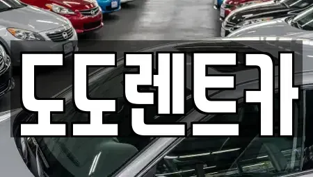 경기 하남시 덕풍동 렌트카 전문 도도렌트카