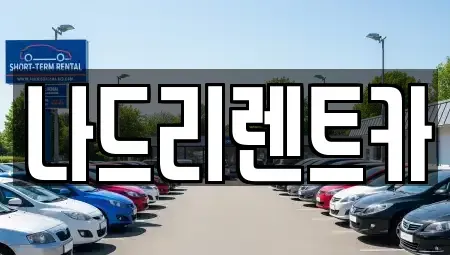 경기 하남시 덕풍동 장기렌트카 전문 나드리렌트카