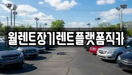 경기 하남시 덕풍동 장기렌트카 전문 월렌트장기렌트플랫폼직카