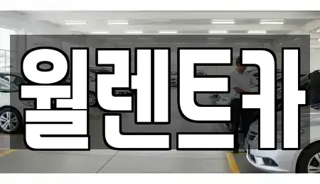 경기 하남시 미사동 렌트카 전문 월렌트카