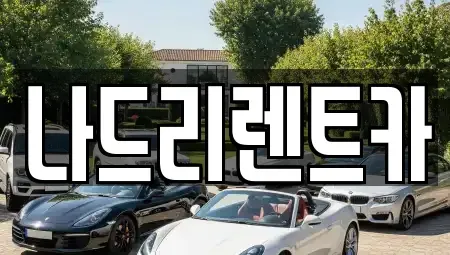 경기 하남시 미사동 장기렌트카 전문 나드리렌트카