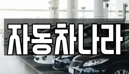경기 하남시 미사동 중고차매매 전문 자동차나라