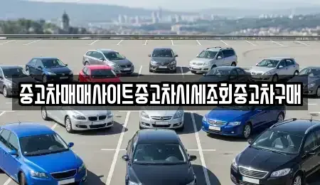 경기 하남시 미사동 중고차매매 전문 중고차매매사이트중고차시세조회중고차구매