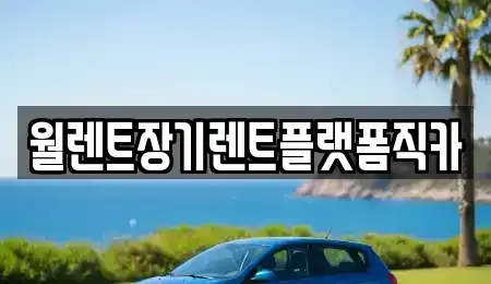 경기 하남시 초일동 장기렌트카 전문 월렌트장기렌트플랫폼직카