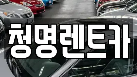 경기 화성시 반송동 단기렌트카 전문 청명렌트카