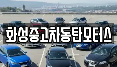 경기 화성시 반송동 중고차매매 전문 화성중고차동탄모터스