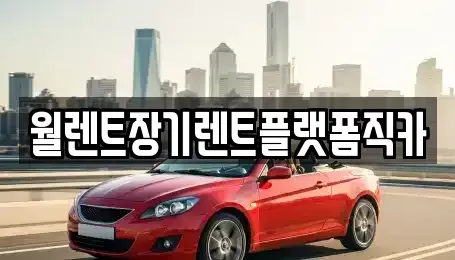 경기도 고양시 일산동구 지영동 렌트카 전문 월렌트장기렌트플랫폼직카