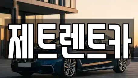 경기도 고양시 일산동구 지영동 렌트카 전문 제트렌트카