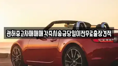 경기도 고양시 일산동구 지영동 중고차 전문 관허중고차매매매각즉시송금당일이전무료출장견적