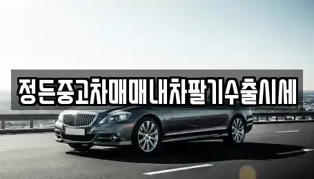 경기도 고양시 일산동구 지영동 중고차 전문 정든중고차매매내차팔기수출시세