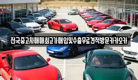 경기도 고양시 일산동구 지영동 중고차매입 전문 전국중고차매매최고가매입및수출무료견적방문카카오카