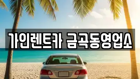 경기도 남양주시 금곡동 렌트카 전문 가인렌트카 금곡동영업소