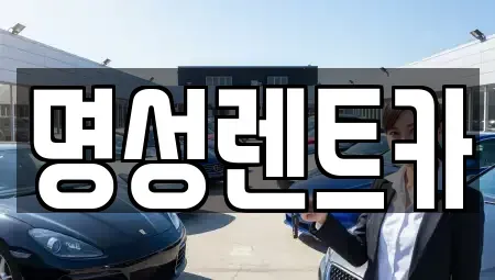 경기도 남양주시 금곡동 렌트카 전문 명성렌트카