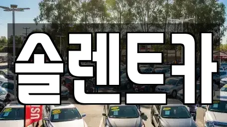경기도 남양주시 금곡동 렌트카 전문 솔렌트카
